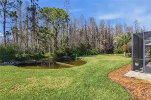 1133 Sweet Jasmine Dr, Trinity, FL 34655 - Photo 39