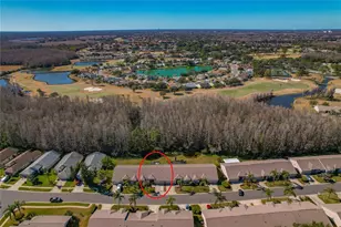 1133 Sweet Jasmine Dr, Trinity, FL 34655 - Photo 41