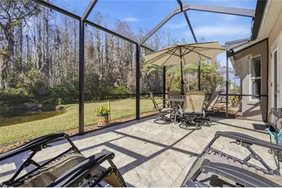 1133 Sweet Jasmine Drive, Trinity, FL 34655 - Photo 35