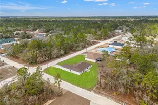 14586 Mocking Wren Rd, Weeki Wachee, FL 34614 - Photo 57
