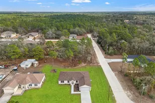 14586 Mocking Wren Rd, Weeki Wachee, FL 34614 - Photo 3