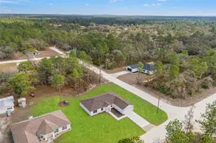 14586 Mocking Wren Rd, Weeki Wachee, FL 34614 - Photo 59