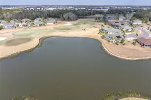 11429 Hidden Cove Ct, Trinity, FL 34655 - Photo 35