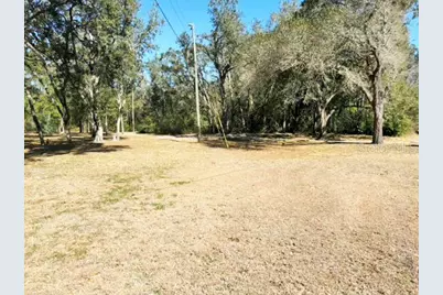 16347 Albright Road, Spring Hill, FL 34610 - Photo 5