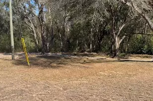 16347 Albright Rd, Spring Hill, FL 34610 - Photo 1