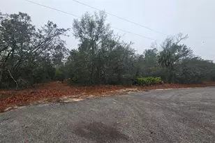 0 Indian Trail Rd, Weeki Wachee, FL 34613 - Photo 1