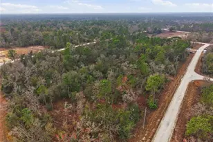 00 Velvet Scoter Ave, Weeki Wachee, FL 34614 - Photo 1