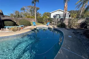 11177 Bella Loma Dr, Largo, FL 33774 - Photo 29