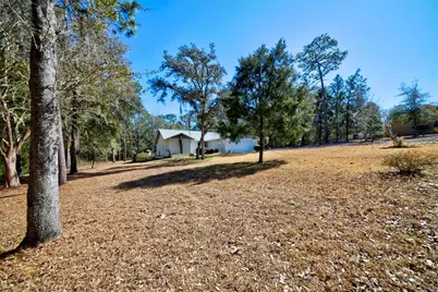 12005 S Hyacinth Point, Floral City, FL 34436 - Photo 3