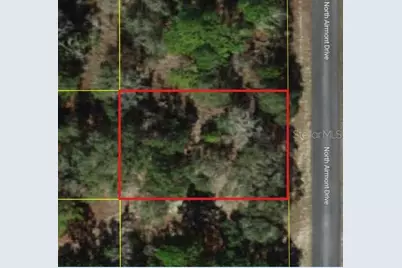 6714 N Airmont Drive, Dunnellon, FL 34433 - Photo 3