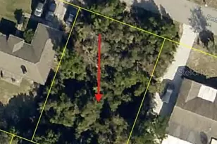 12432 Penton St, Spring Hill, FL 34608 - Photo 1