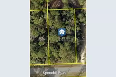 11051 Spoonbill Road, Weeki Wachee, FL 34613 - Photo 1