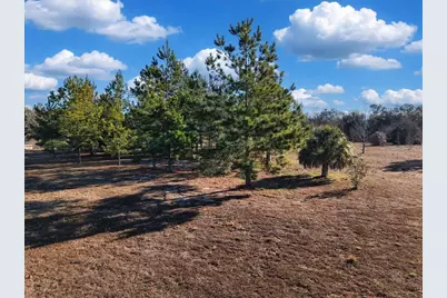 Nw 76th Avenue, Chiefland, FL 32626 - Photo 3