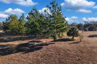 NW 76th Ave, Chiefland, FL 32626 - Photo 1