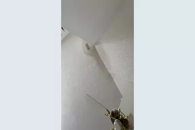 2462 Stephanie Drive, Spring Hill, FL 34608 - Photo 31