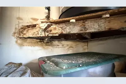 2462 Stephanie Drive, Spring Hill, FL 34608 - Photo 41