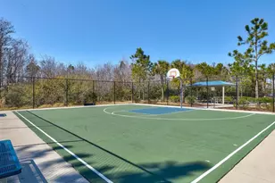 2873 Storybrook Preserve Dr, Odessa, FL 33556 - Photo 75