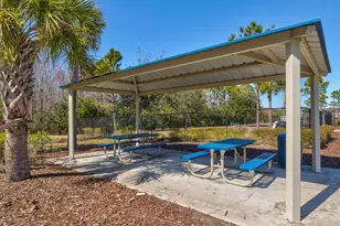 2873 Storybrook Preserve Dr, Odessa, FL 33556 - Photo 79