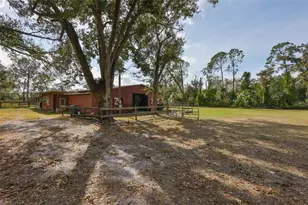 7450 Alafia Ridge Loop, Riverview, FL 33569 - Photo 31