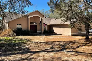 11242 Mirage Ave, Weeki Wachee, FL 34614 - Photo 1