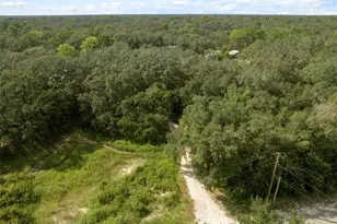 17221 Nicks Dr, Spring Hill, FL 34610 - Photo 27