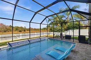 18441 New London Ave, Land O Lakes, FL 34638 - Photo 3