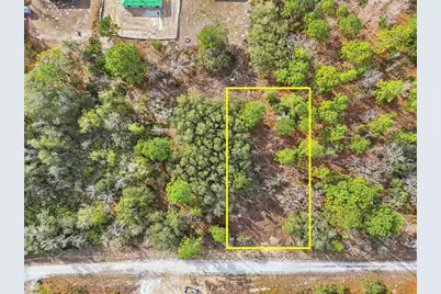 Cayman Road, Weeki Wachee, FL 34614 - Photo 9