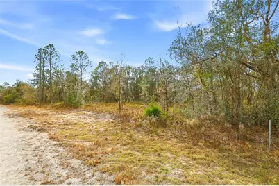 Cayman Road, Weeki Wachee, FL 34614 - Photo 5