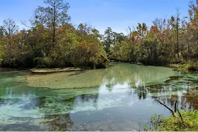 7268 Crystal Spring Run, Weeki Wachee, FL 34607 - Photo 99