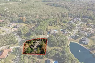 7268 Crystal Spring Run, Weeki Wachee, FL 34607 - Photo 89