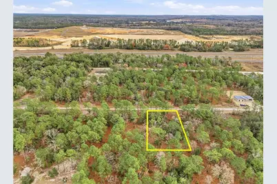 Cayman Road, Weeki Wachee, FL 34614 - Photo 5