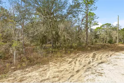 Cayman Road, Weeki Wachee, FL 34614 - Photo 3
