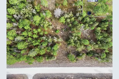 Chimney Swift Road, Weeki Wachee, FL 34614 - Photo 11