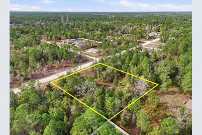 Chimney Swift Road, Weeki Wachee, FL 34614 - Photo 13
