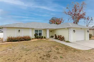 3034 Aldoro Ave, Spring Hill, FL 34609 - Photo 5