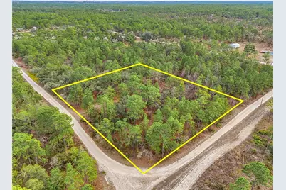 11388 Thames Avenue, Brooksville, FL 34614 - Photo 3