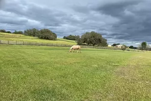 20832 Hunter Hill Dr, Dade City, FL 33523 - Photo 13