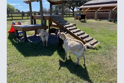 20832 Hunter Hill Drive, Dade City, FL 33523 - Photo 27