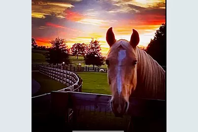 20832 Hunter Hill Drive, Dade City, FL 33523 - Photo 37