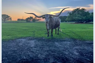 20832 Hunter Hill Drive, Dade City, FL 33523 - Photo 15