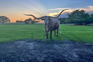 20832 Hunter Hill Dr, Dade City, FL 33523 - Photo 15