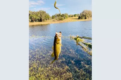 20832 Hunter Hill Drive, Dade City, FL 33523 - Photo 7