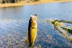 20832 Hunter Hill Dr, Dade City, FL 33523 - Photo 7