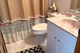 20832 Hunter Hill Dr, Dade City, FL 33523 - Photo 11