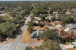 3028 Saw Mill Ln, Spring Hill, FL 34606 - Photo 7