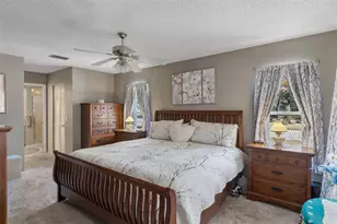 3028 Saw Mill Ln, Spring Hill, FL 34606 - Photo 33