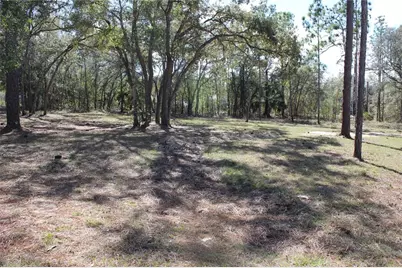 0 Quigley Avenue, Weeki Wachee, FL 34614 - Photo 5