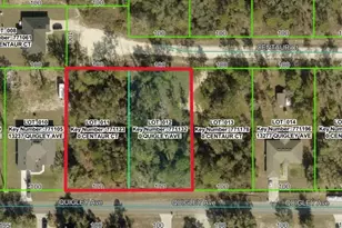 0 Quigley Ave, Weeki Wachee, FL 34614 - Photo 1