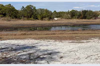 9265 Grizzly Bear Lane, Weeki Wachee, FL 34613 - Photo 19