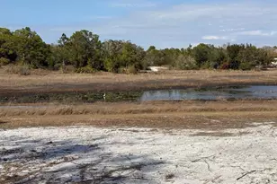 9265 Grizzly Bear Ln, Weeki Wachee, FL 34613 - Photo 19